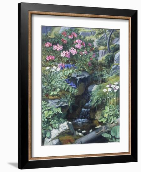 Alpine Flowers by a Stream-Otto Didrik Ottesen-Framed Giclee Print