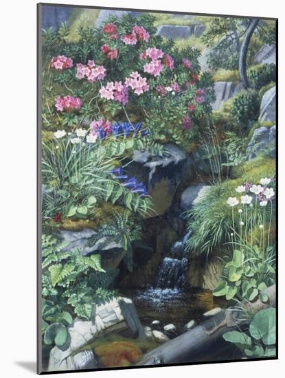 Alpine Flowers by a Stream-Otto Didrik Ottesen-Mounted Giclee Print