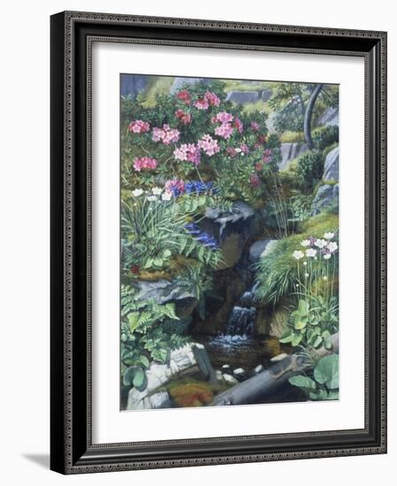 Alpine Flowers by a Stream-Otto Didrik Ottesen-Framed Giclee Print