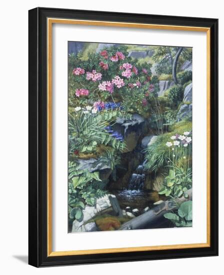 Alpine Flowers by a Stream-Otto Didrik Ottesen-Framed Giclee Print