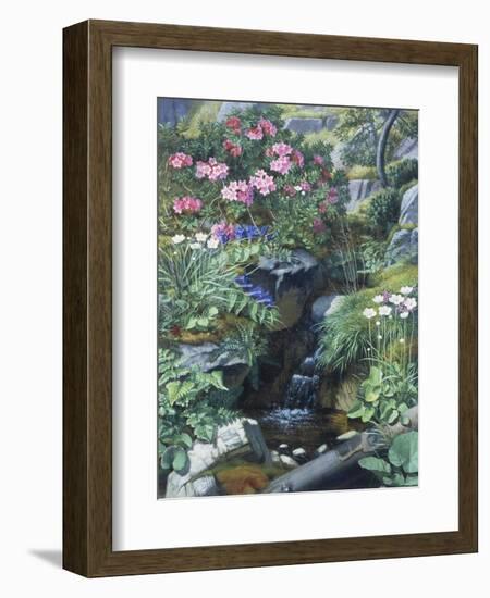 Alpine Flowers by a Stream-Otto Didrik Ottesen-Framed Giclee Print