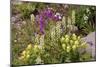 Alpine Flowers In Wyoming, USA-Bob Gibbons-Mounted Photographic Print