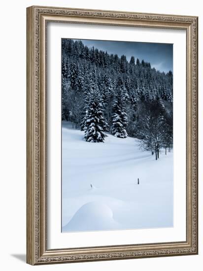 Alpine Flurry-Craig Howarth-Framed Photographic Print