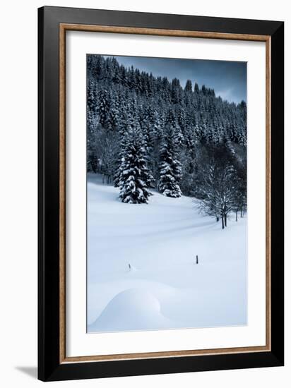 Alpine Flurry-Craig Howarth-Framed Photographic Print