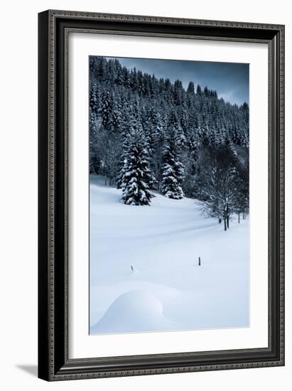 Alpine Flurry-Craig Howarth-Framed Photographic Print