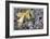 Alpine Frost-Donald Paulson-Framed Giclee Print