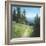 Alpine Hike-David Marty-Framed Giclee Print