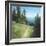 Alpine Hike-David Marty-Framed Giclee Print