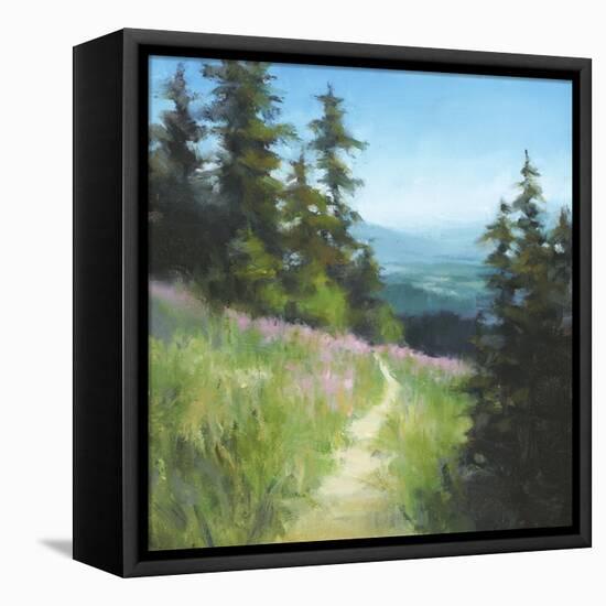 Alpine Hike-David Marty-Framed Premier Image Canvas