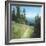 Alpine Hike-David Marty-Framed Premium Giclee Print