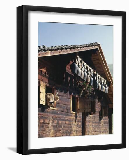 Alpine Hut, Cow, Bells-Thonig-Framed Photographic Print