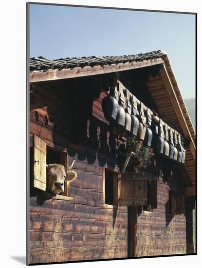 Alpine Hut, Cow, Bells-Thonig-Mounted Photographic Print