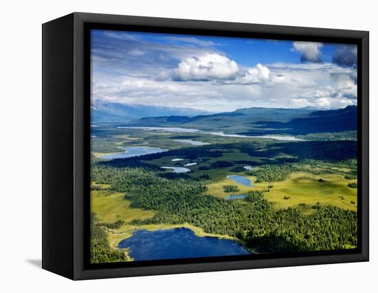 Alpine Lakes and Forest, Denali National Park, Alaska-Carol Highsmith-Framed Stretched Canvas