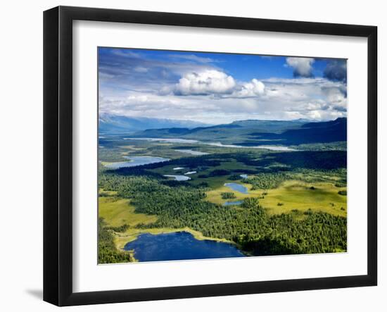 Alpine Lakes and Forest, Denali National Park, Alaska-Carol Highsmith-Framed Photo