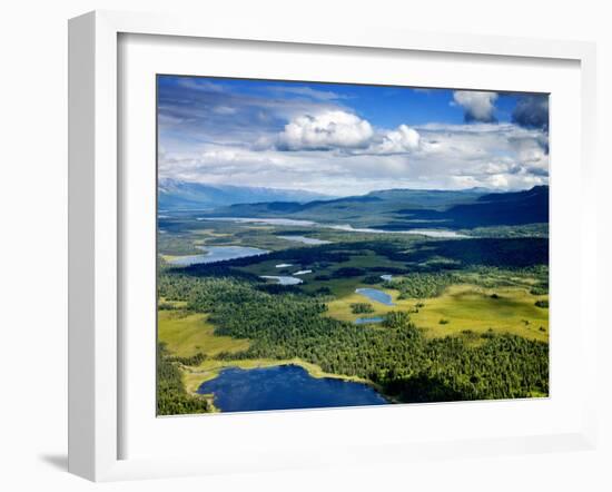 Alpine Lakes and Forest, Denali National Park, Alaska-Carol Highsmith-Framed Photo