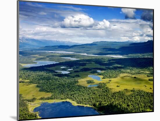 Alpine Lakes and Forest, Denali National Park, Alaska-Carol Highsmith-Mounted Photo
