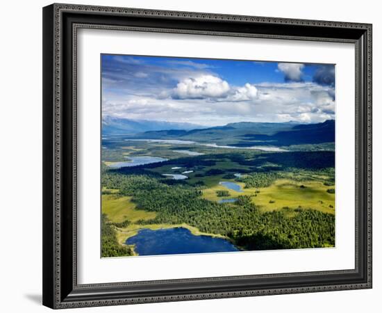 Alpine Lakes and Forest, Denali National Park, Alaska-Carol Highsmith-Framed Photo