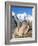 Alpine Marmot in the Hohe Tauern, Mount Grossglockner. Austria-Martin Zwick-Framed Photographic Print