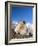 Alpine Marmot in the Hohe Tauern, Mount Grossglockner. Austria-Martin Zwick-Framed Photographic Print