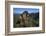 Alpine Marmot (Marmota Marmota) Feeding, Hohe Tauern National Park, Austria, July 2008-Lesniewski-Framed Photographic Print