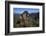 Alpine Marmot (Marmota Marmota) Feeding, Hohe Tauern National Park, Austria, July 2008-Lesniewski-Framed Photographic Print