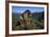 Alpine Marmot (Marmota Marmota) Feeding, Hohe Tauern National Park, Austria, July 2008-Lesniewski-Framed Photographic Print