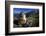 Alpine Marmot (Marmota Marmota) Feeding, Hohe Tauern National Park, Austria, July 2008-Lesniewski-Framed Photographic Print