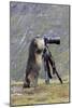 Alpine Marmot Standing Up at Camera on Tripod-null-Mounted Photographic Print