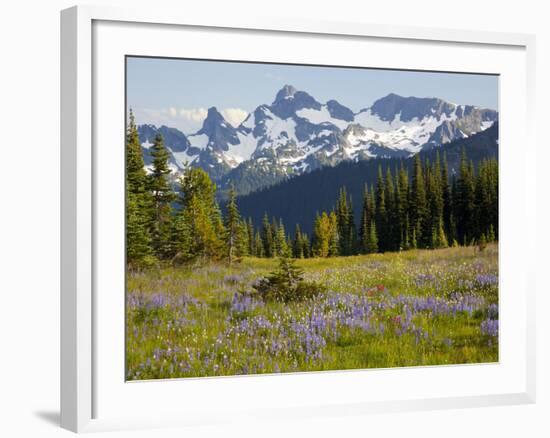 Alpine Meadow and Sarvent Glaciers, Mount Rainier National Park, Washington, USA-Jamie & Judy Wild-Framed Photographic Print