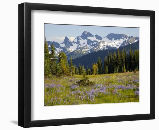 Alpine Meadow and Sarvent Glaciers, Mount Rainier National Park, Washington, USA-Jamie & Judy Wild-Framed Photographic Print