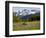 Alpine Meadow and Sarvent Glaciers, Mount Rainier National Park, Washington, USA-Jamie & Judy Wild-Framed Photographic Print