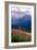Alpine Meadow, Banff National Park, Canada-George Oze-Framed Photographic Print