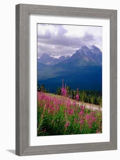 Alpine Meadow, Banff National Park, Canada-George Oze-Framed Photographic Print