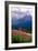 Alpine Meadow, Banff National Park, Canada-George Oze-Framed Photographic Print