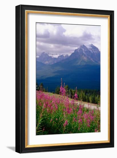 Alpine Meadow, Banff National Park, Canada-George Oze-Framed Photographic Print