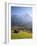 Alpine Meadow, Eiger and Grindelwald, Berner Oberland, Switzerland-Doug Pearson-Framed Photographic Print