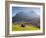 Alpine Meadow, Eiger and Grindelwald, Berner Oberland, Switzerland-Doug Pearson-Framed Photographic Print