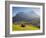 Alpine Meadow, Eiger and Grindelwald, Berner Oberland, Switzerland-Doug Pearson-Framed Photographic Print