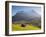 Alpine Meadow, Eiger and Grindelwald, Berner Oberland, Switzerland-Doug Pearson-Framed Photographic Print