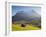 Alpine Meadow, Eiger and Grindelwald, Berner Oberland, Switzerland-Doug Pearson-Framed Photographic Print