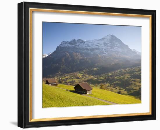 Alpine Meadow, Eiger and Grindelwald, Berner Oberland, Switzerland-Doug Pearson-Framed Photographic Print