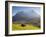 Alpine Meadow, Eiger and Grindelwald, Berner Oberland, Switzerland-Doug Pearson-Framed Photographic Print