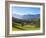 Alpine Meadow, Mondsee, Mondsee Lake, Oberosterreich, Upper Austria, Austria-Doug Pearson-Framed Photographic Print