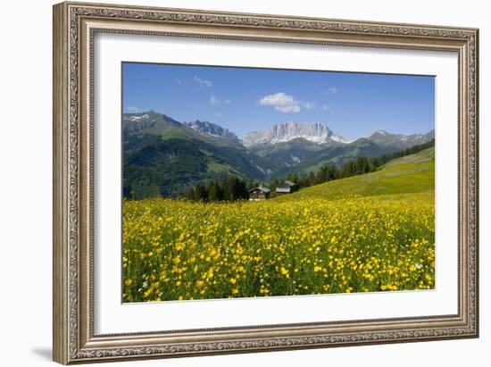 Alpine Meadow, Switzerland-Dr. Juerg Alean-Framed Photographic Print