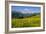 Alpine Meadow, Switzerland-Dr. Juerg Alean-Framed Photographic Print