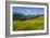 Alpine Meadow, Switzerland-Dr. Juerg Alean-Framed Photographic Print