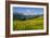 Alpine Meadow, Switzerland-Dr. Juerg Alean-Framed Photographic Print