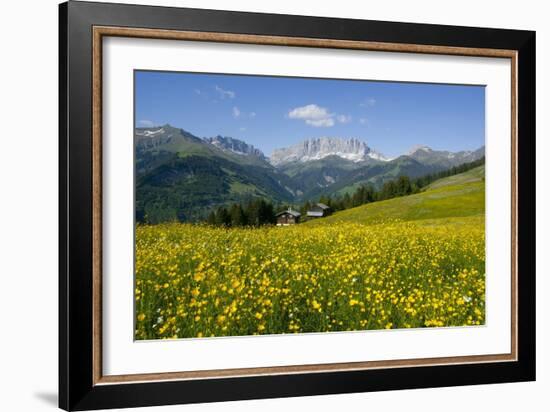 Alpine Meadow, Switzerland-Dr. Juerg Alean-Framed Photographic Print