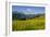 Alpine Meadow, Switzerland-Dr. Juerg Alean-Framed Photographic Print
