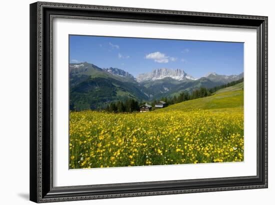 Alpine Meadow, Switzerland-Dr. Juerg Alean-Framed Photographic Print